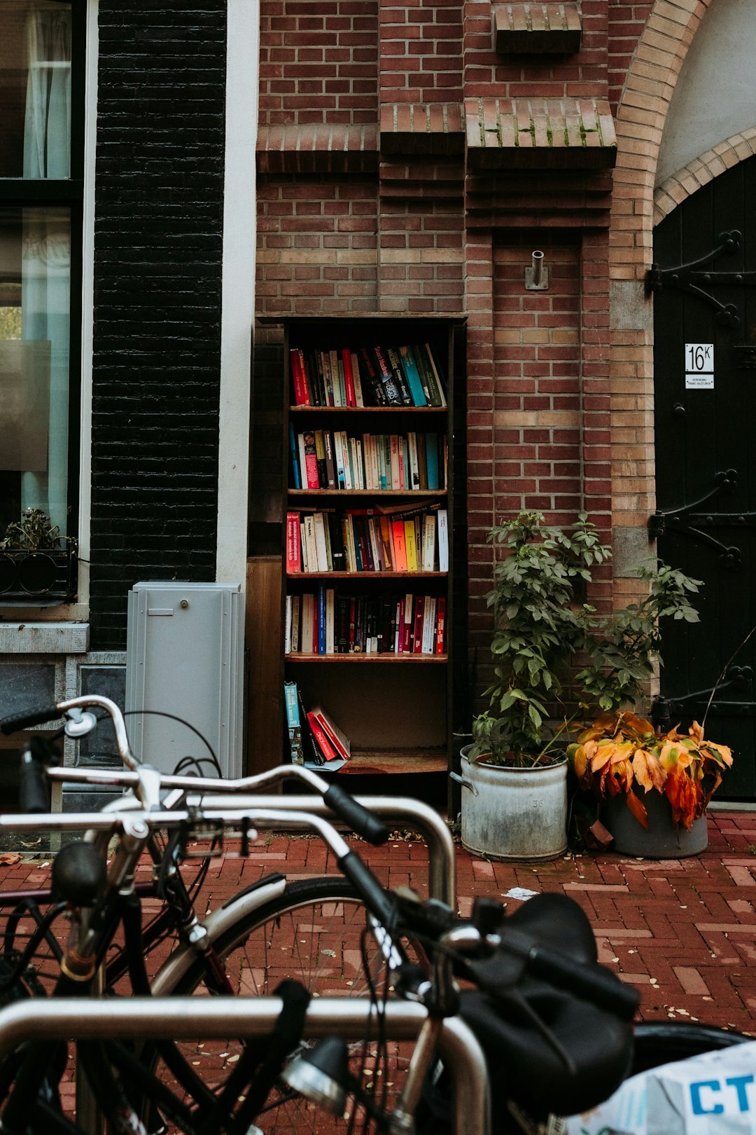 cozy dutch bookstore shelves