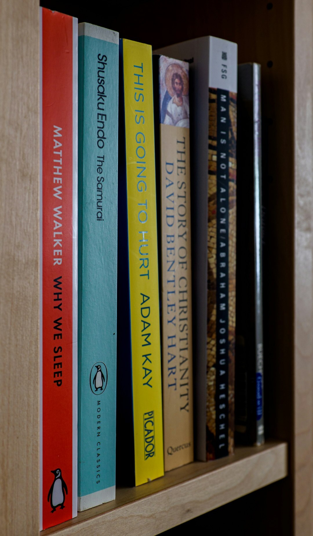 new detective books on shelf