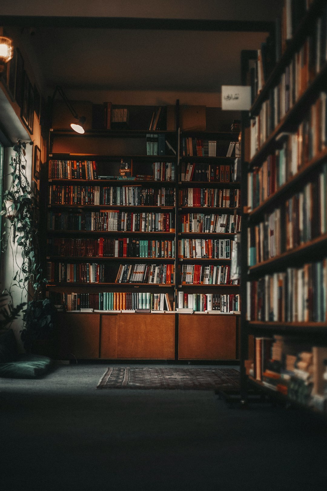 bookshelf with crime novels