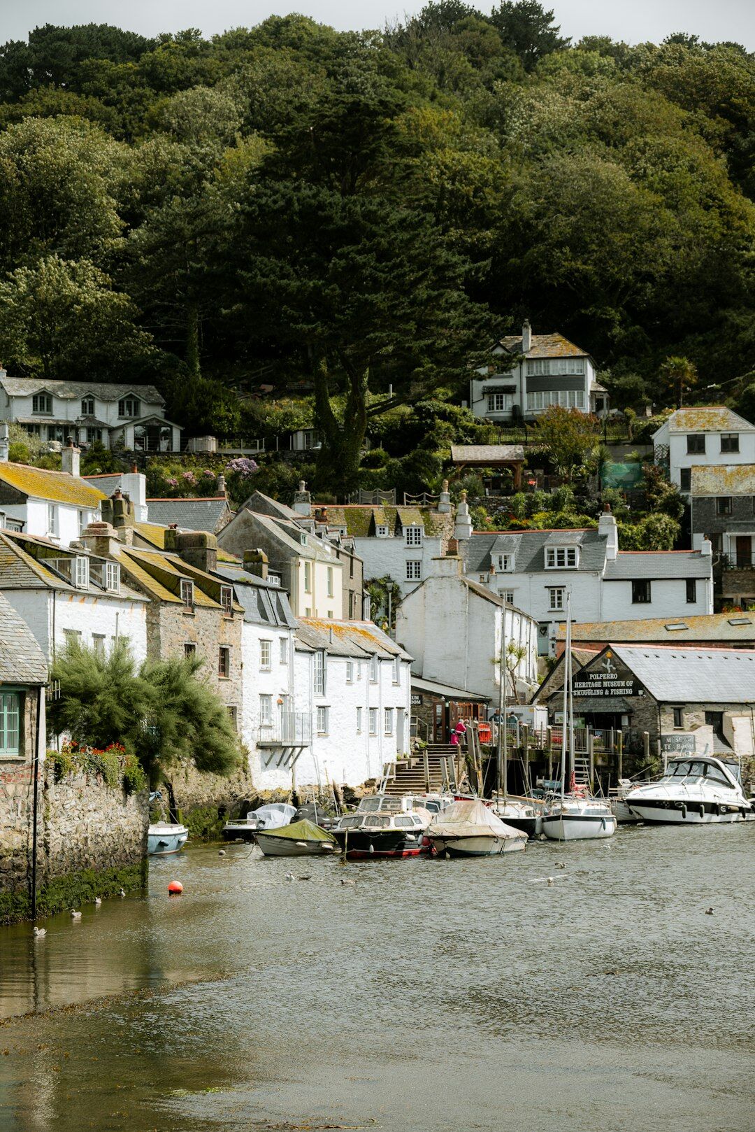 coastal village mystery